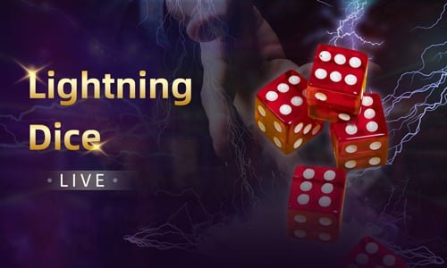 219bet