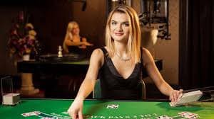 219bet